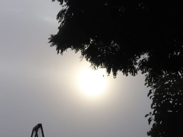 A foggy start at the Rural Naturist B&B Retreat A foggy start at the Rural Naturist B&B Retreat