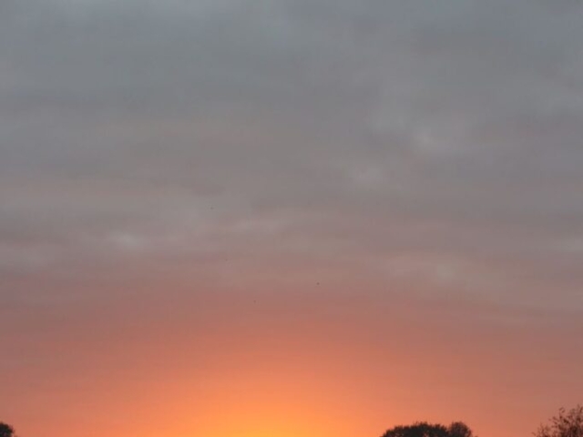 A foggy start at the Rural Naturist B&B Retreat A foggy start at the Rural Naturist B&B Retreat