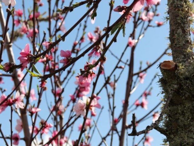 Spring at the Rural Naturist B&B Retreat Spring at the Rural Naturist B&B Retreat